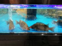 -盒马鲜生(岭南新世界店)