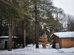 -北海道神宫