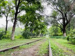 -永定河休闲森林公园