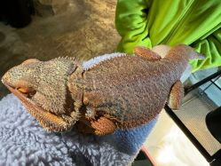 -酷嗒动物文化乐园(cutezoo西溪乐天城店)