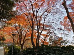 -上海市保健医疗中心