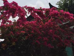 -星巴克臻选(成都宽窄巷子店)