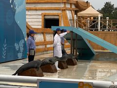 -秦皇岛乐岛海洋王国