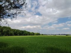 -嘉北郊野公园