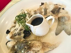 -博雅渔港·融合菜(维也纳国际大酒店)