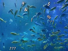 -顺德南宏海立方海洋公园