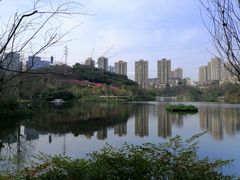 -重庆彩云湖湿地公园