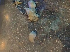 -浙江自然博物院(杭州馆)