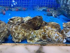 -香山湖渔家大院