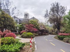 -石塘人家
