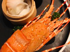 龙虾饺-万丽轩·粤菜(王府井金茂万丽酒店)