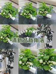 -HEYAN荷妍专业脱毛连锁机构