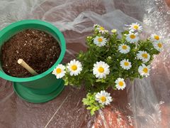 -三旗百汇商品城