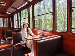 -合肥滨湖国家森林公园