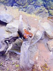 -酷嗒动物文化乐园(cutezoo西溪乐天城店)