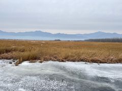 -野鸭湖国家湿地公园