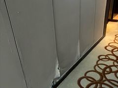 -南桥绿地铂骊酒店