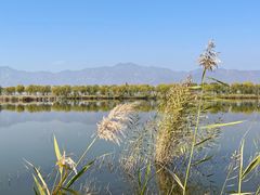 -野鸭湖国家湿地公园