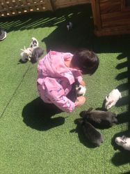 -萌宠亲子动物乐园(槐房万达店)