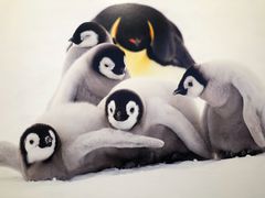 -罗红摄影艺术馆