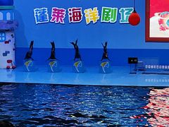 -蓬莱欧乐堡海洋极地世界