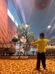 -卡通尼·Safari非洲探索乐园·生日会(金桥国际商业广场店)