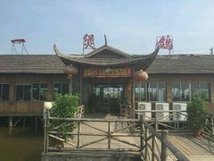 -一煲鸽