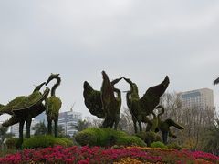 -白鹭洲公园