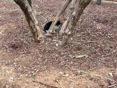 -北京西山国家森林公园