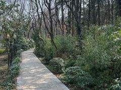 -句容茅山景区