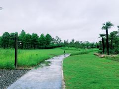 -春花秋色城市公园