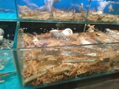 -苏格里岛自助海鲜烤肉火锅(集美万达店)