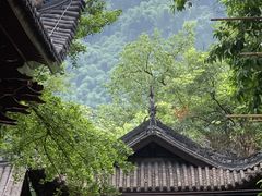 -缙云山景区