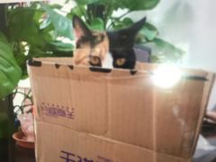 -荔康动物医院(康王北路店)