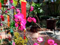 -Le Chalet Dalat