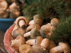 -云南木水花野生菌交易中心