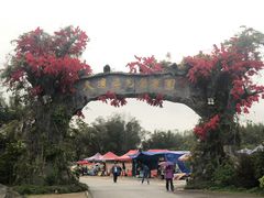 -天适樱花悠乐园