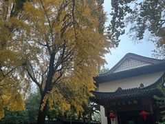 -郑和公园