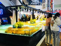 -驻海渔市(置信店)