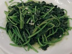 -清新鸡沙田乳鸽店(金融店)