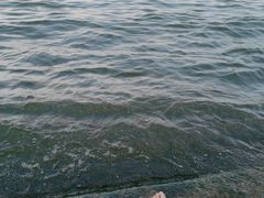 -东湖生态旅游风景区