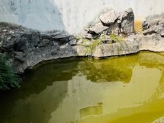 -常熟方塔园