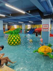 -宝燕乐园(闵行旗舰店)