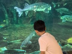 -华夏文旅海洋公园