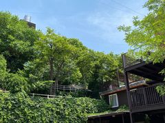 -Local泰莲庭(虹鳟鱼店)
