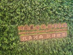 -阿五黄河大鲤鱼(河南长垣店)