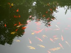 -河南省黄河迎宾馆