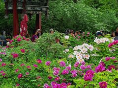 -迎泽公园