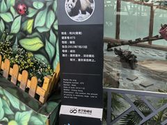 -青藏高原野生动物园