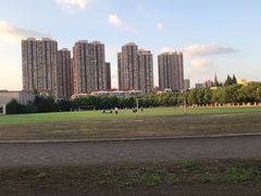 -同济大学(沪西校区)